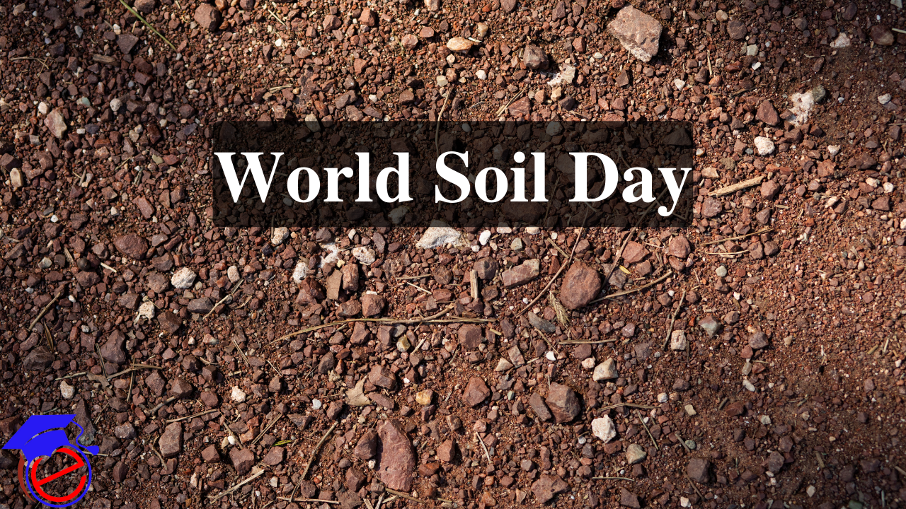 World Soil Day
